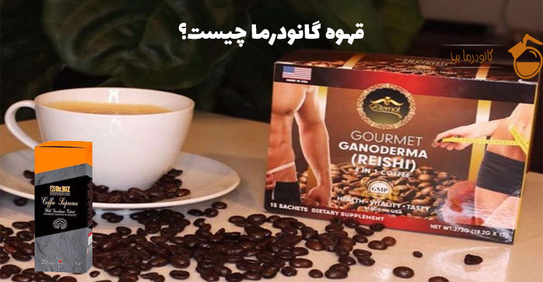 قهوه گانودرما چیست؟